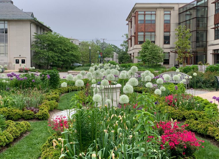 American University Arboretum and Gardens, United States